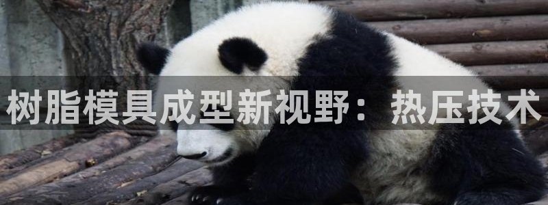 易倍科华生物科技有限公司：树脂模具成型新视野：热压技术