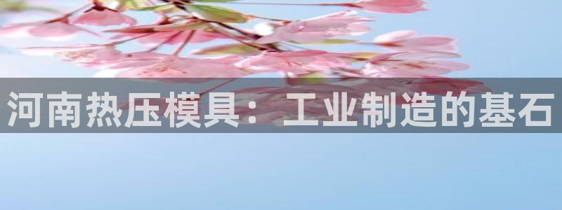emc易倍官网登录首页：河南热压模具：工业制造的基石