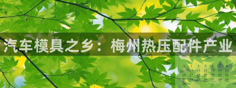 emc易倍网页版：汽车模具之乡：梅州热压配件产业