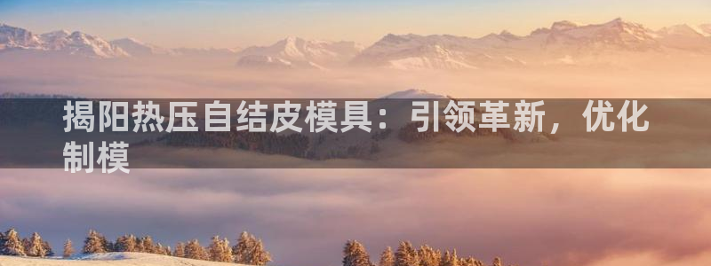 易倍全站：揭阳热压自结皮模具：引领革新，优化
制模