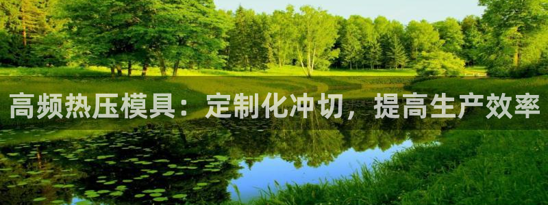 易倍纤能减肥吗：高频热压模具：定制化冲切，提高生产效率