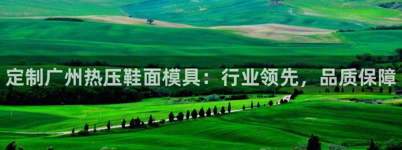 emc易倍平台：定制广州热压鞋面模具：行业领先，品质保障