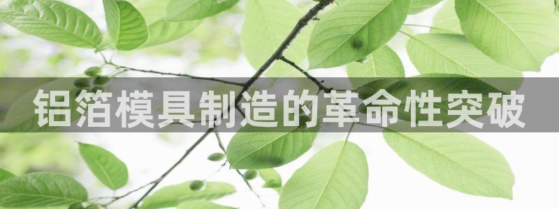 易倍emc安全吗：铝箔模具制造的革命性突破