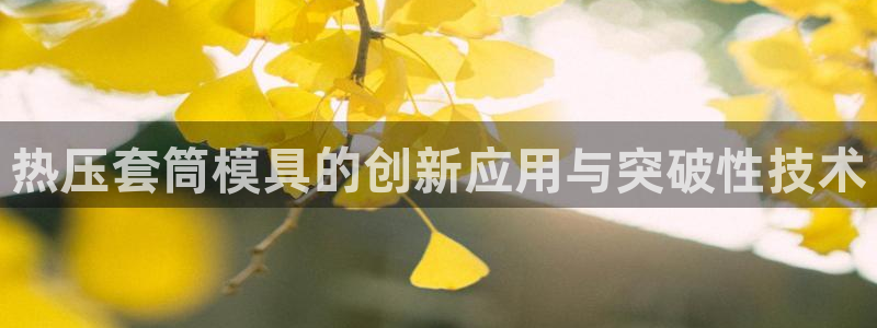 易倍科华生物科技有限公司：热压套筒模具的创新应用与突破性