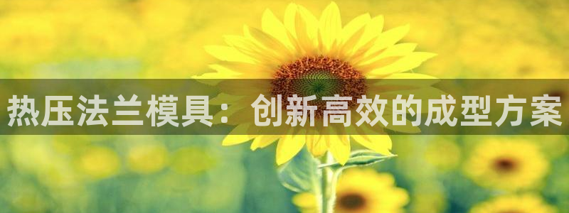易倍纤价格：热压法兰模具：创新高效的成型方案
