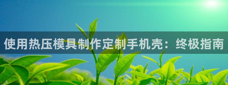 杭州易倍达：使用热压模具制作定制手机壳：终极指南