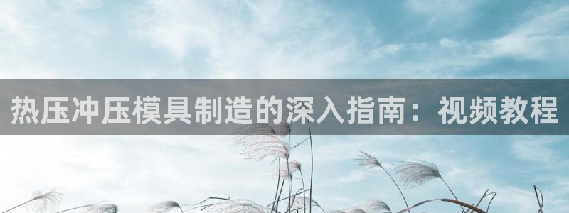 易倍网络技术有限公司：热压冲压模具制造的深入指南：视频教