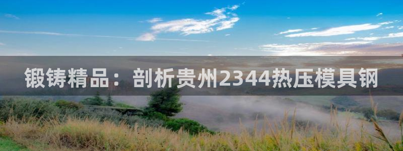 易倍易趣网：锻铸精品：剖析贵州2344热压模具钢