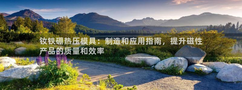易倍单词官方网站下载：钕铁硼热压模具：制造和应用指南，提