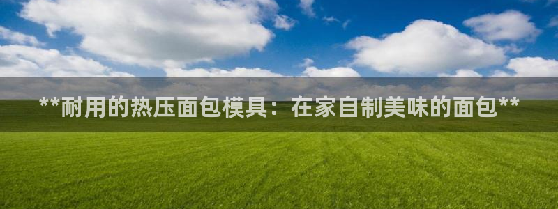 emcapp下载普通下载：**耐用的热压面包模具：在家自