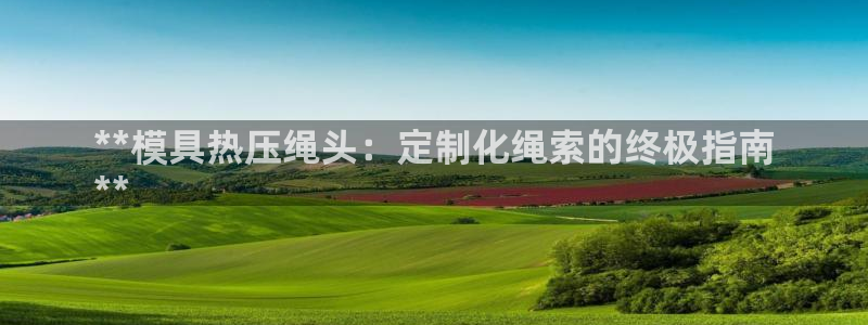 易倍思机电制造(上海)有限公司：**模具热压绳头：定制化
