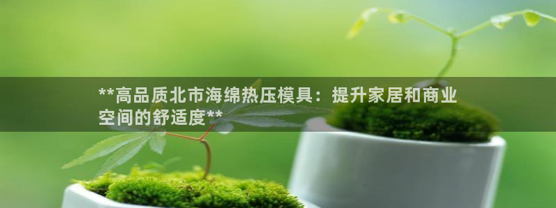 emc易倍官网app：**高品质北市海绵热压模具：提升家