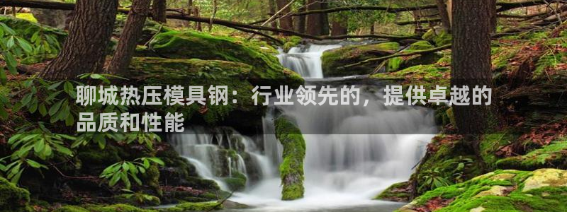 易倍思机电制造(上海)有限公司：聊城热压模具钢：行业领先