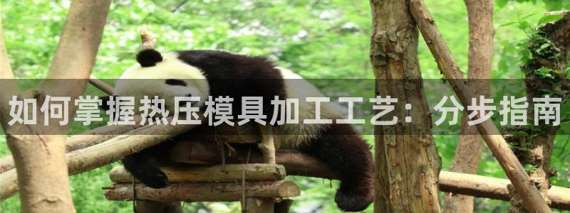 易倍达科技有限公司怎么样：如何掌握热压模具加工工艺：分步