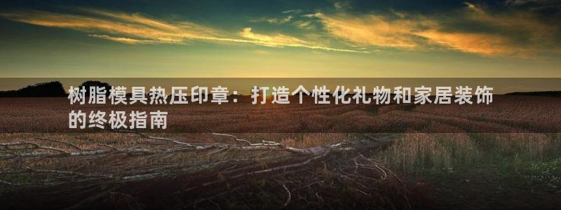 易倍康简历：树脂模具热压印章：打造个性化礼物和家居装饰
