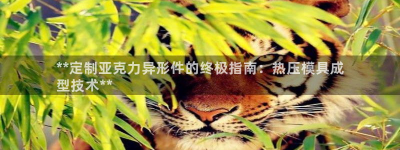易倍申上市时间：**定制亚克力异形件的终极指南：热压模具