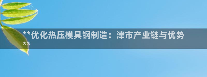 易倍申的包装规格：**优化热压模具钢制造：津市产业链与优