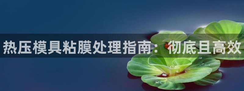 易倍申能长期吃吗：热压模具粘膜处理指南：彻底且高效