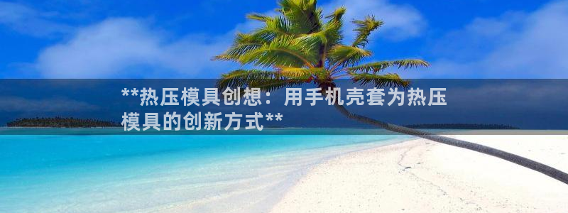 易倍企业管理软件怎么样：**热压模具创想：用手机壳套为热