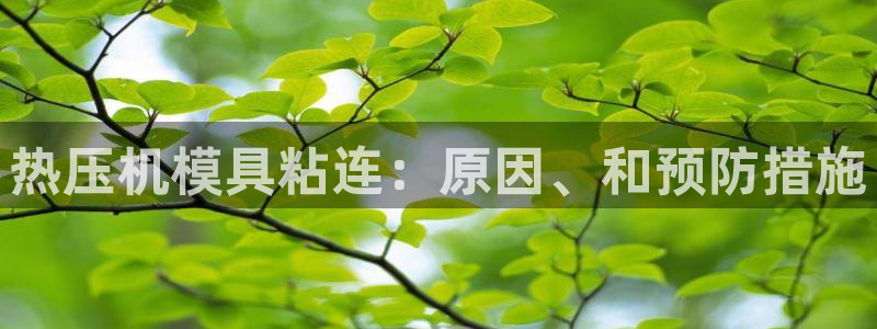 易倍纤谷物粉效果好吗：热压机模具粘连：原因、和预防措施