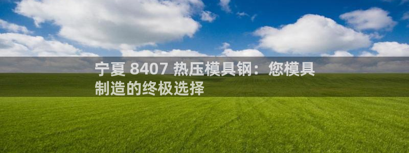 易倍申片能长期服用吗：宁夏 8407 热压模具钢：您模具