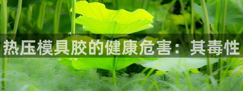 emc易倍官网首页进入：热压模具胶的健康危害：其毒性
