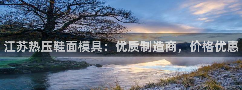 emc易倍穆里尼奥：江苏热压鞋面模具：优质制造商，价格优