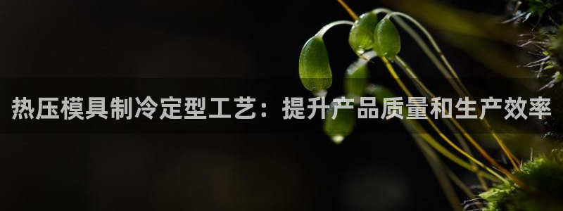 易倍申多少钱一盒：热压模具制冷定型工艺：提升产品质量和生