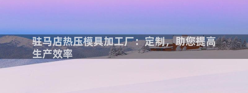 杭州易倍达科技有限公司怎么样：驻马店热压模具加工厂：定制