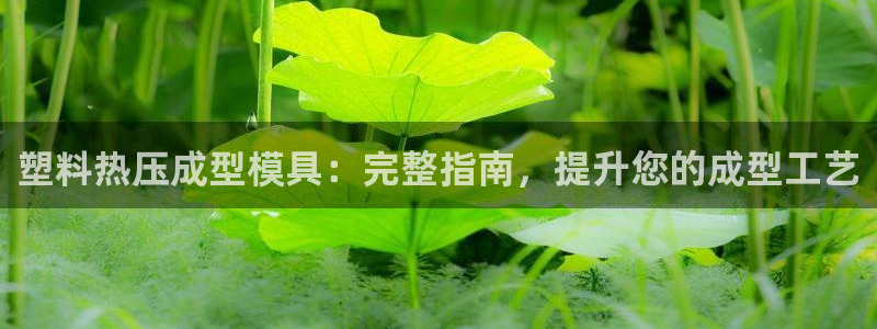 emc全站易倍：塑料热压成型模具：完整指南，提升您的成型