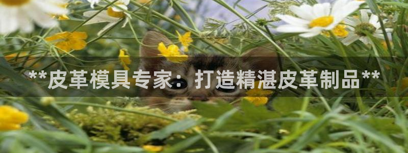 北京易倍思教育科技有限公司：**皮革模具专家：打造精湛皮