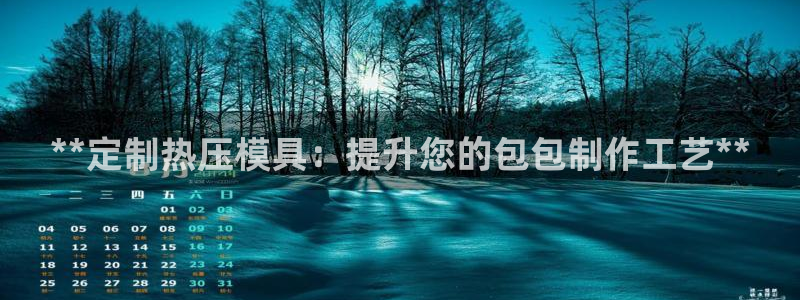 emc易倍网站是多少：**定制热压模具：提升您的包包制作