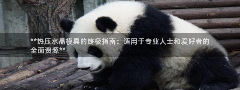 易倍纤奶昔减肥效果怎么样：**热压水晶模具的终极指南：适