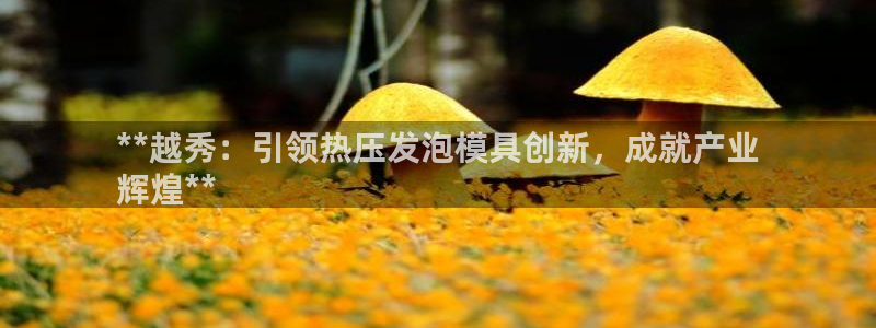 低频的emc用什么滤波：**越秀：引领热压发泡模具创新，