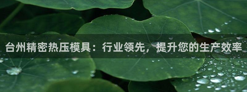 易倍纤价格：台州精密热压模具：行业领先，提升您的生产效率