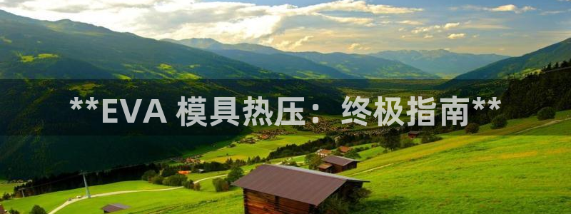 上海易倍投资有限公司：**EVA 模具热压：终极指南**