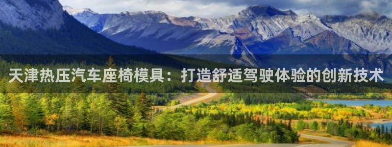 emc易倍全站：天津热压汽车座椅模具：打造舒适驾驶体验的