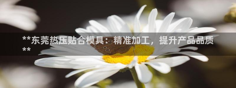 易倍申安理申区别：**东莞热压贴合模具：精准加工，提升产