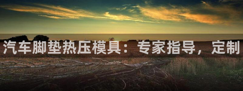 易倍纤多少钱：汽车脚垫热压模具：专家指导，定制