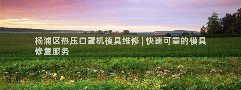 易倍纤使用方法：杨浦区热压口罩机模具维修 | 快速可靠的