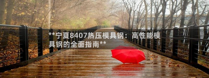 易倍单词登录平台：**宁夏8407热压模具钢：高性能模
