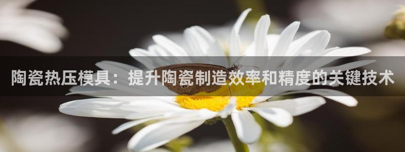 易倍达怎么样：陶瓷热压模具：提升陶瓷制造效率和精度的关键