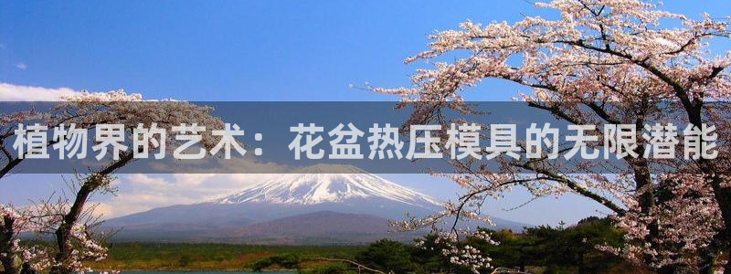 emc易倍首页：植物界的艺术：花盆热压模具的无限潜能