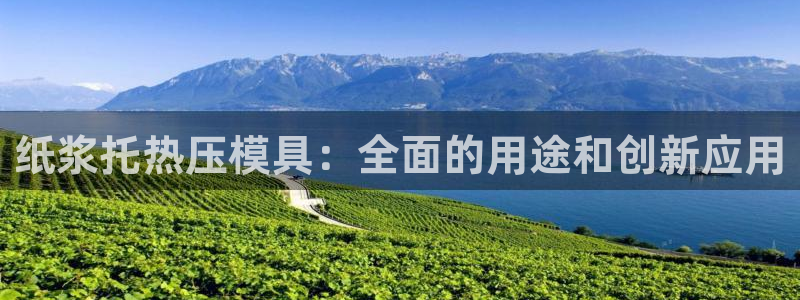 EMC易倍官方网址：纸浆托热压模具：全面的用途和创新应用