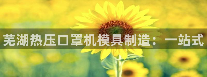 易倍康简历：芜湖热压口罩机模具制造：一站式