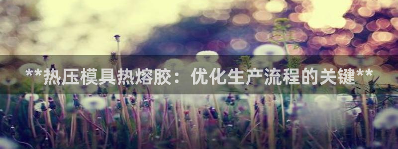 易倍申有用吗：**热压模具热熔胶：优化生产流程的关键**