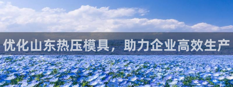 易倍网络技术有限公司怎么样：优化山东热压模具，助力企业高