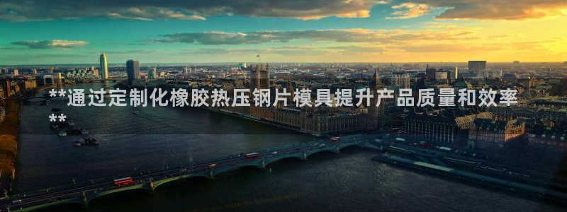 易倍达科技有限公司怎么样：**通过定制化橡胶热压钢片模具