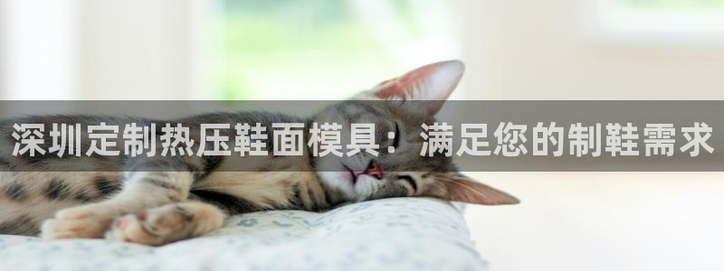 易倍单词平台：深圳定制热压鞋面模具：满足您的制鞋需求