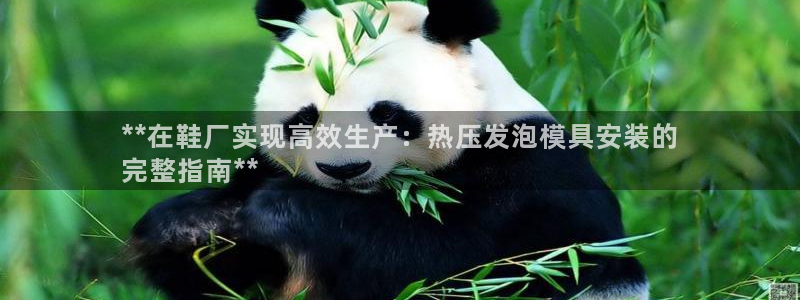 emc易贝体育怎么样：**在鞋厂实现高效生产：热压发泡模